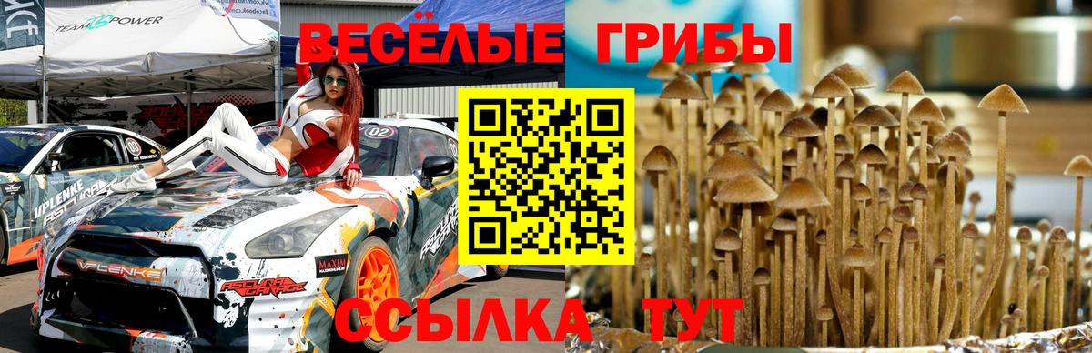 Псилоцибиновые грибы мицелий Сибай
