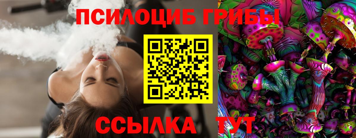 Сибай  Галлюциногенные грибы MAGIC MUSHROOMS  Вход с VPN 
